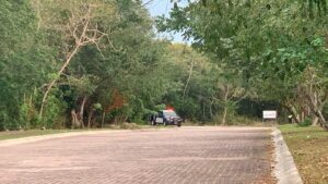 Asesinan a mujer y tiran su cuerpo atrás de planetario en Playa del Carmen 2 img 20240320 wa02705632053238231529432