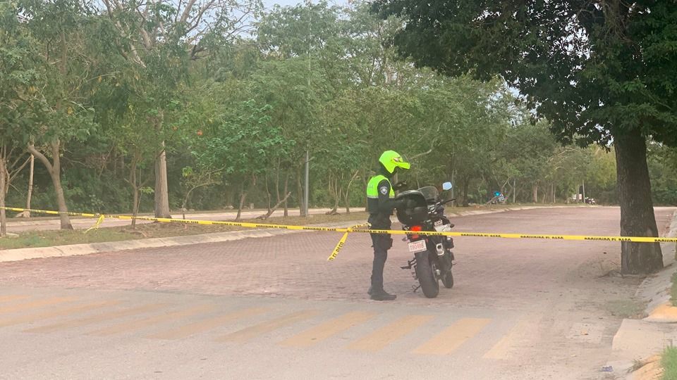 Asesinan a mujer y tiran su cuerpo atrás de planetario en Playa del Carmen 1 img 20240320 wa02716778855353884905556