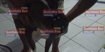 img 2728 2 1