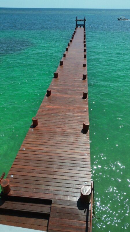 Entregan Mara Lezama y Blanca Merari el renovado muelle de pescadores 4 7d8bcf30 ab92 412e b352 826af10776b8 1
