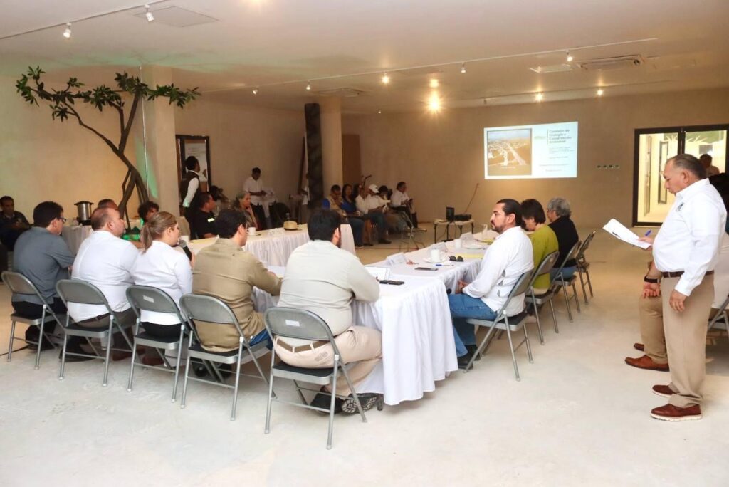 Llaman a portomorelenses a sumarse a acciones para un municipio más verde, limpio y resiliente 2 c3c5c379 397f 4443 b2ca ebbd313aff26 1