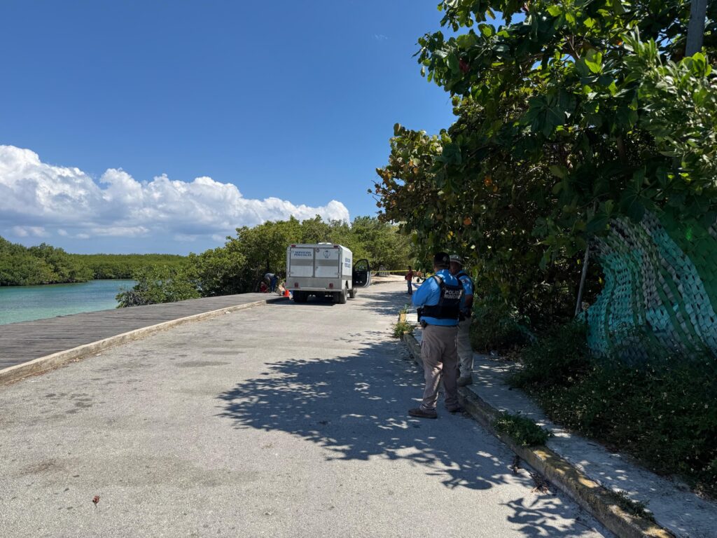 Restos de brujería en la Zona Hotelera de Cancún: hallan huesos y objetos extraños en Nizuc 1 b6715ffa 077b 417a bad7 6758adb690de 1
