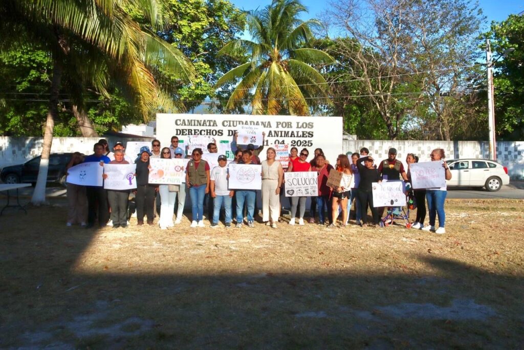 Realizan caminata por los derechos de los animales 1 d1b25655 a721 4a33 a49b 1e78264e9f29 1