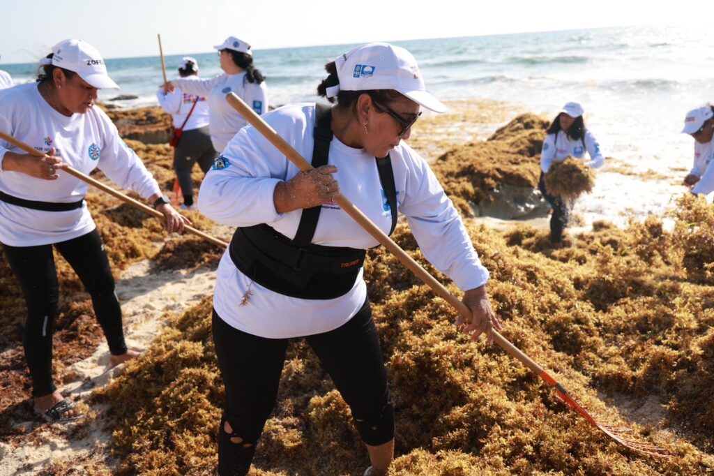 Gobierno de Isla Mujeres realiza jornada especial del Limpiatón en playa del Mar Caribe 3 081fdf59 1349 4076 b4e5 5e3cbfabda88 1