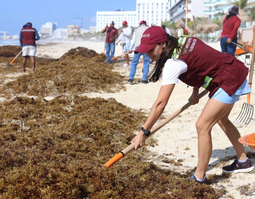 Cancún se distingue en el Caribe por su respuesta efectiva ante el sargazo 1 568b25ab d994 41fd 94c6 a494bfe9eff3 1
