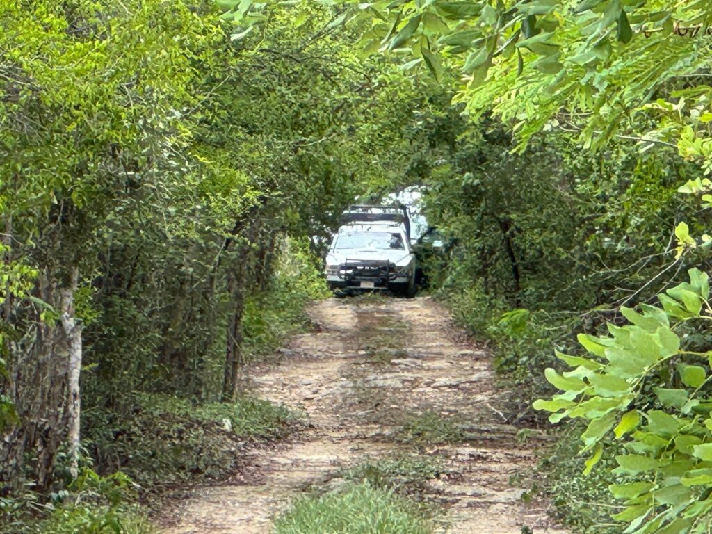 Hallan una osamenta humana en un cenote de la delegación Alfredo B. Bonfil 2 7393e0fd ed04 48a2 9336 c08776345006 1