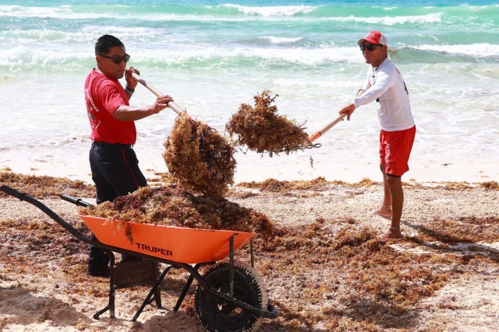 Encabeza Ana Paty Peralta brigadas contra sargazo en Playas de Cancún 2 8aa27623 53e5 427a b4f5 7469c3411c30 1