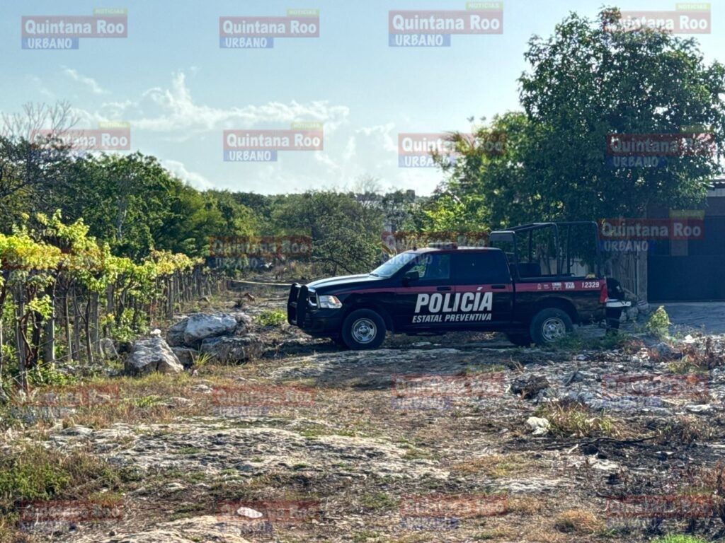 Encuentran el cuerpo de una mujer en área verde de la región 243, presentaba signos de violenci* 3 img 1230 1