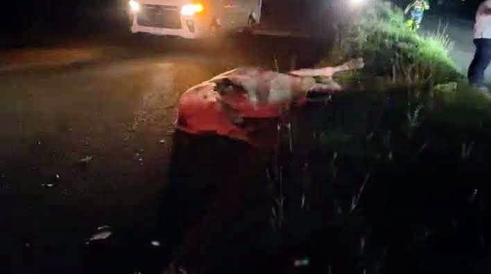 Combi foránea se impacta contra una vaca en la carretera federal Xul-Ha-Bacalar 2 d12349fe 9900 44de 958c bf8928796224