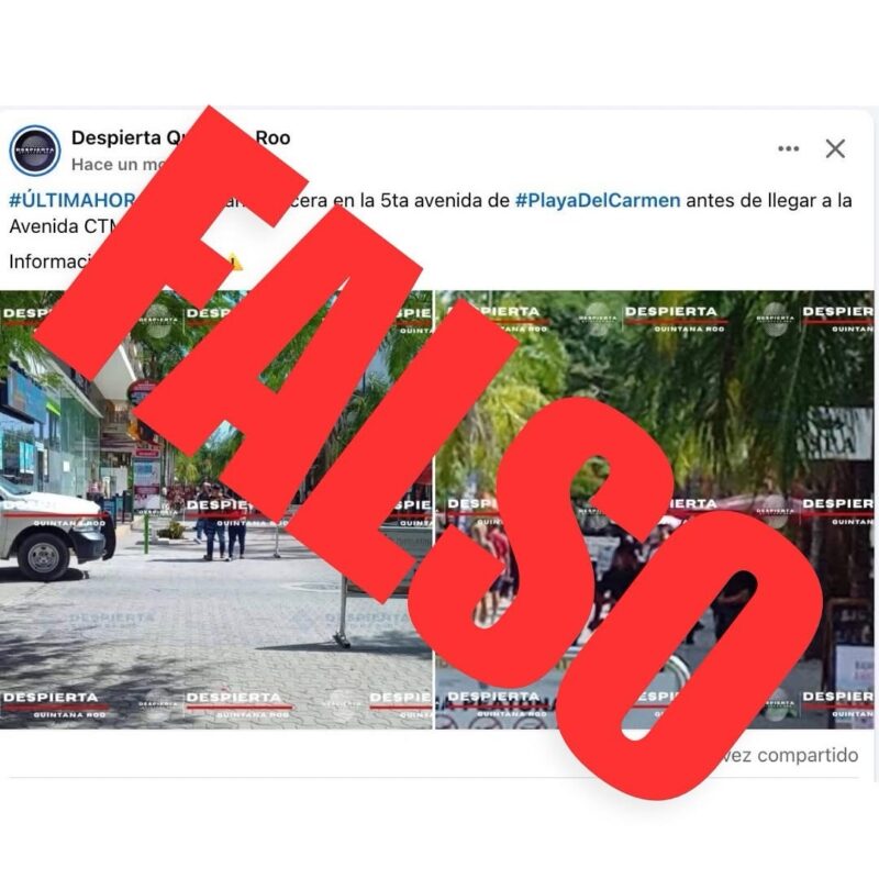 Estefanía Mercado desmiente falsa balacera en la Quinta Avenida de Playa del Carmen 1 img 7252 1
