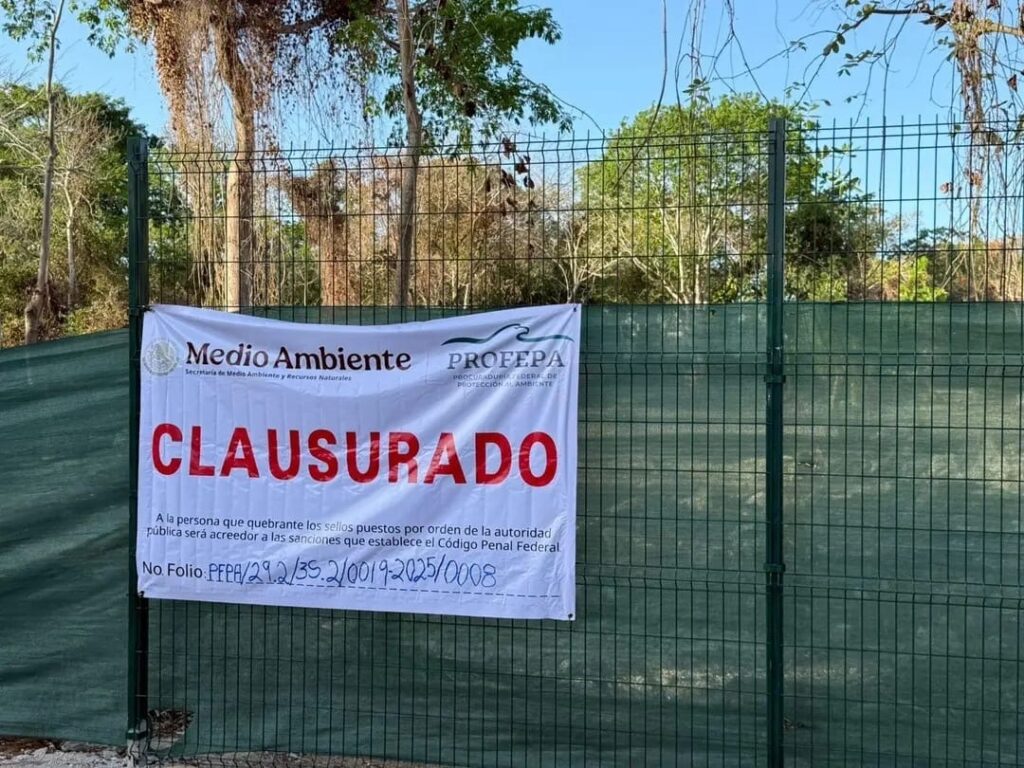 Analizan sanciones administrativas a aplicar en contra del desarrollo Legacy en Playacar 2 7413aecc 159a 44f4 a86d 937e9d8acba4