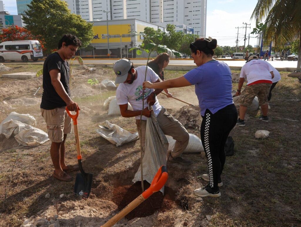 Renueva Ana Paty Peralta áreas verdes con arborización 1 90a030f4 04fe 44d1 8fb8 48af8c0542a2