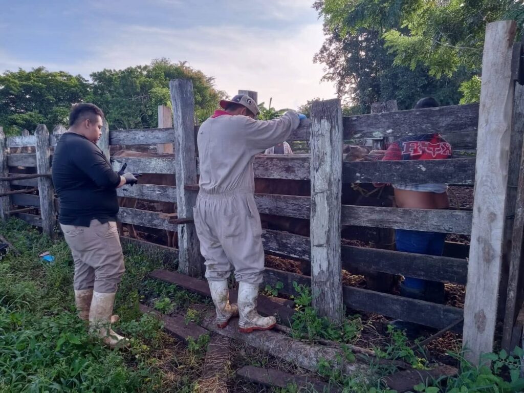 Deja Frente Frío No.30 primeros estragos en el centro y sur de Quintana Roo 2 75d46bea 559a 4bce aa3f e66c76dd44d2