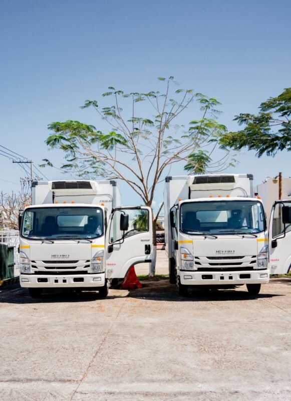 Fortalece SESA la red de vacunación contra el sarampión en Quintana Roo 1 393257df 46f5 45be b390 42f1b254c85c