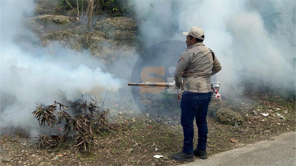 Reportan cero casos confirmados de dengue en la Zona Maya en lo que va del 2026; 18 fueron descartados 1 71ec0e1f a2db 4dee 8bf3 5ab93de9a2e3