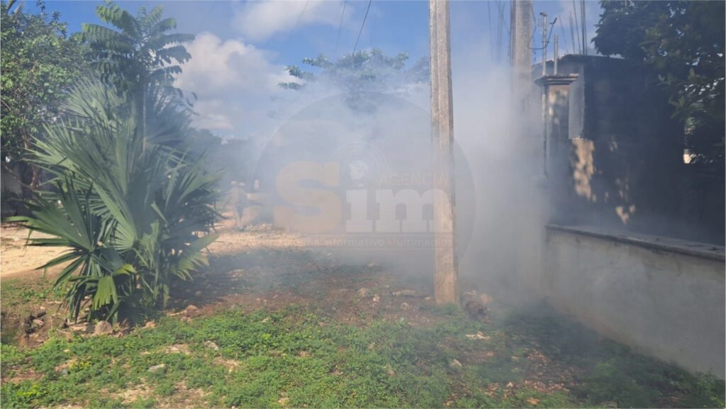 Reportan cero casos confirmados de dengue en la Zona Maya en lo que va del 2026; 18 fueron descartados 2 d751f0d5 f258 493a a2a0 f6521c49a3c8
