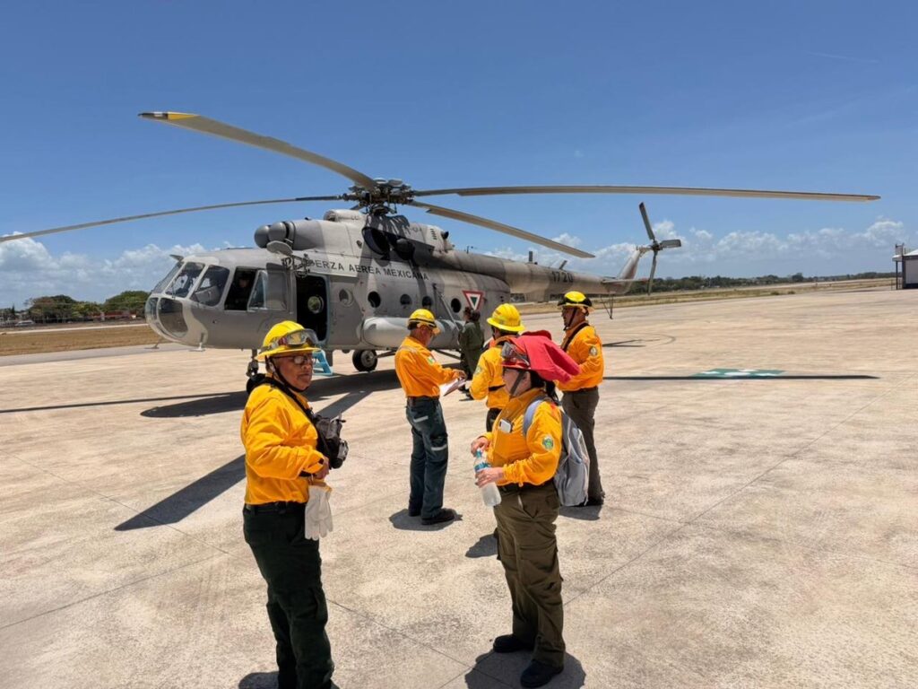 Liquidan incendio forestal en el Santuario del Manatí de Chetumal 2 18b266ef e2db 414f 99a4 e2deb06331ac 1