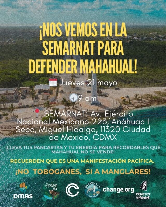 Busca Greenpeace y SelvameMX amplia convocatoria para detener “Perfect Day” en Mahahual 2 3278d4e8 249b 4548 9461 0a823f059b2c