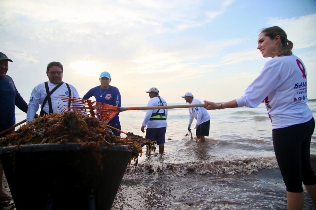 Gobierno de Isla Mujeres responde con rapidez al recale atípico de sargazo 2 788841f7 cfd3 45e9 b4df fa0083e3320b