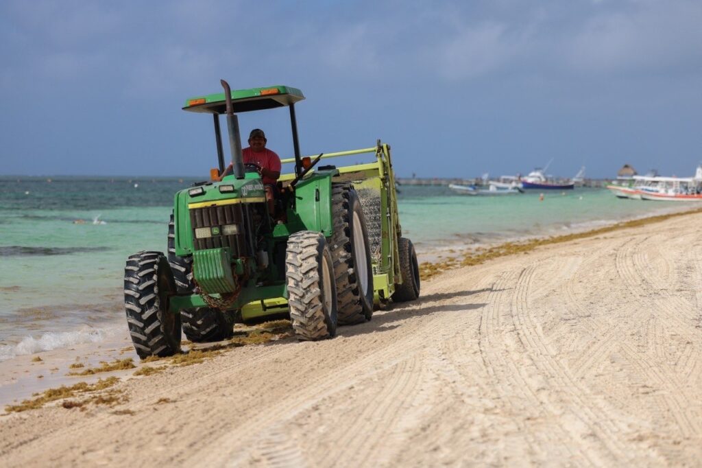 Mantiene Blanca Merari acciones permanentes para el combate al sargazo en Playas de Puerto Morelos 1 dcd8341a cf04 4756 8e81 976161ff29a6