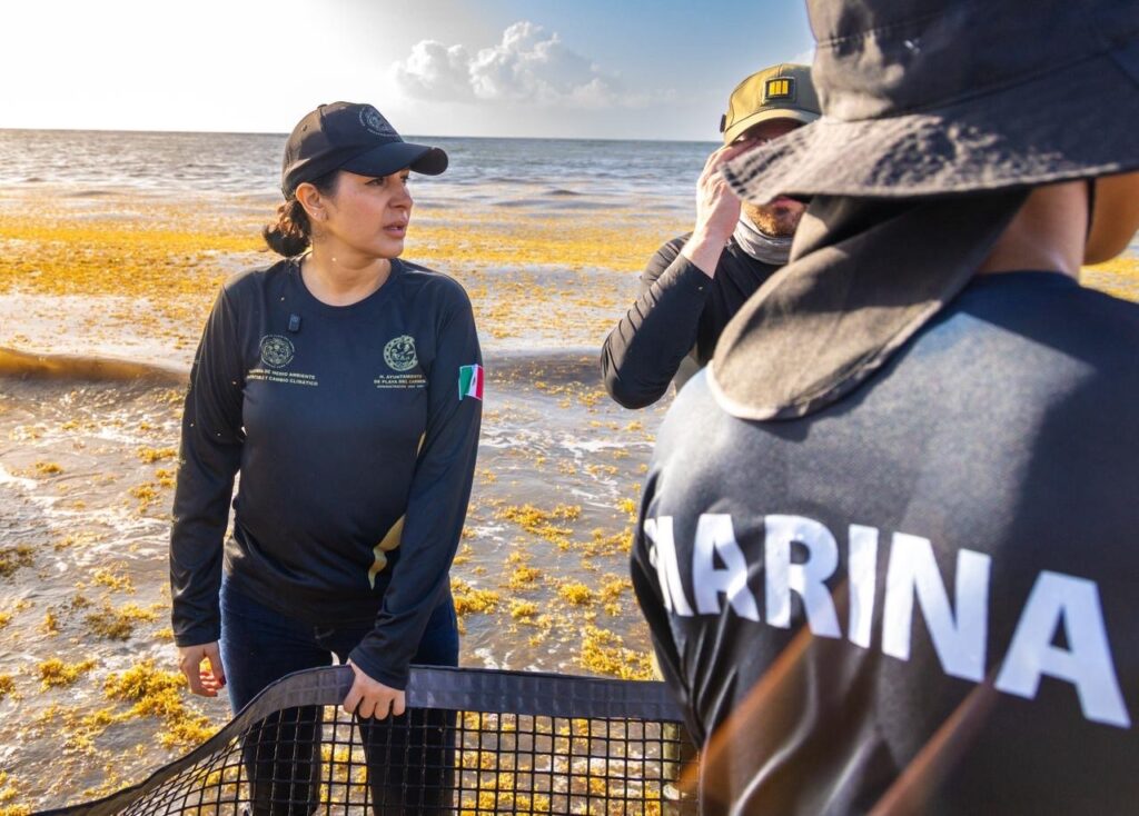 Más de 2 mil personas acompañan a Estefanía Mercado en mega brigada de limpieza de playas para hacer frente al sargazo 2 eccd9261 e30f 4814 9e53 c48e63888f25