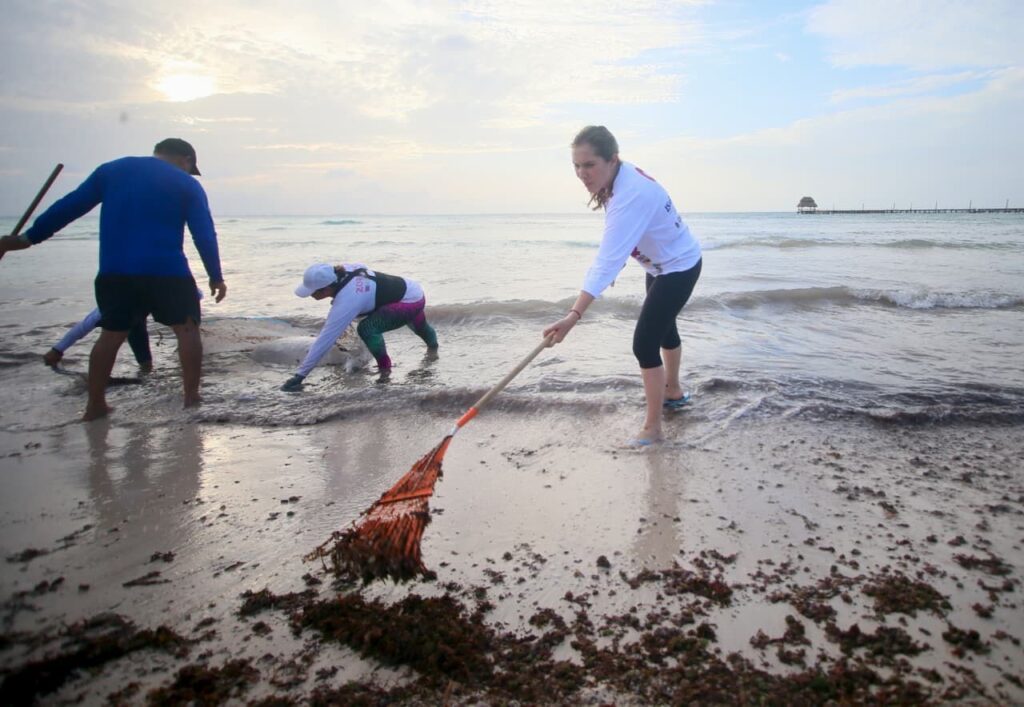 Gobierno de Isla Mujeres responde con rapidez al recale atípico de sargazo 1 ed68ad0d 1b73 418e a667 844df6f8882c