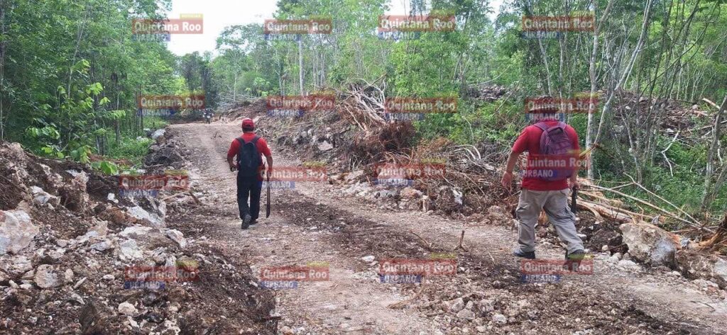 Más de 48 horas sin rastro de Don Fermín Aguilar; intensifican búsqueda con drones térmicos en Felipe Carrillo Puerto 3 img 1062