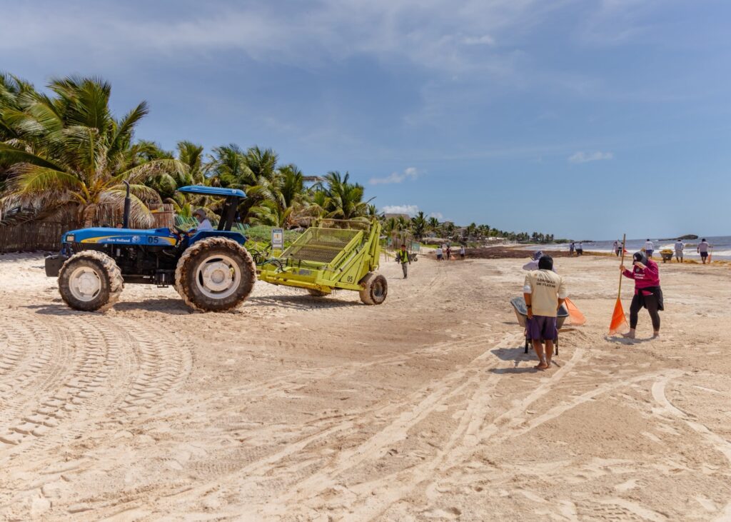 Tulum fortalece el trabajo coordinado para atender el recale de sargazo 2 148c8caf 97fb 430c 8f7e 1cdb0cad7e91