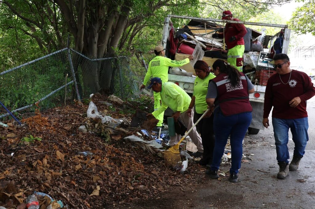 Firme labor de erradicación de basureros clandestinos en Cancún 1 168370de 56e0 4c8a 83ac 37336b6fa4ff