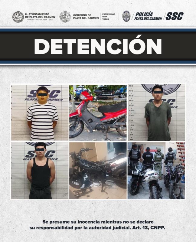 246b5ff0 d0dd 4a81 a59a 248573d93fb5