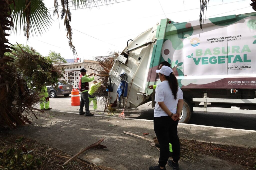 Firme labor de erradicación de basureros clandestinos en Cancún 4 5464753c e49c 4483 a4a8 6f44a99646e7