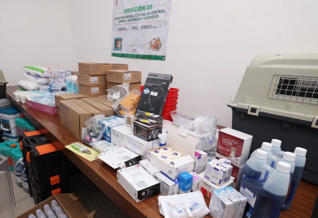 Fortalece Blanca Merari campañas de esterilización con entrega de insumos y equipo para bienestar animal 1 b2a486d3 f1c8 4be8 bff1 0ee0bb46d962