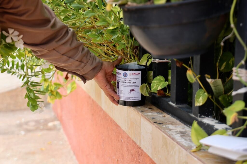 Refuerzan vigilancia epidemiológica con ovitrampas para prevenir el dengue en Isla Mujeres 1 e1ed61f8 2a4b 41ac 9cd9 de04591264d0