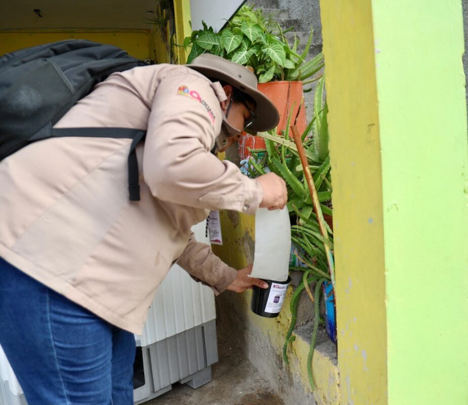 Refuerzan vigilancia epidemiológica con ovitrampas para prevenir el dengue en Isla Mujeres 3 e2394cac e001 4110 a2da 1af506182c72