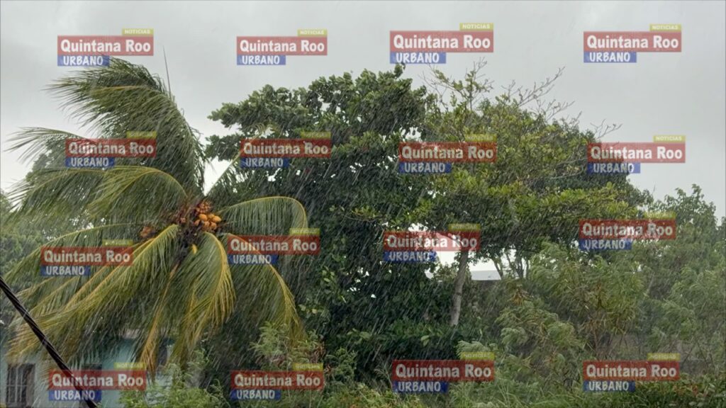 Onda tropical 19 golpea a la Zona Maya; lluvias, vientos y un apagón de seis horas ponen en jaque a Felipe Carrillo Puerto 1 img 3472