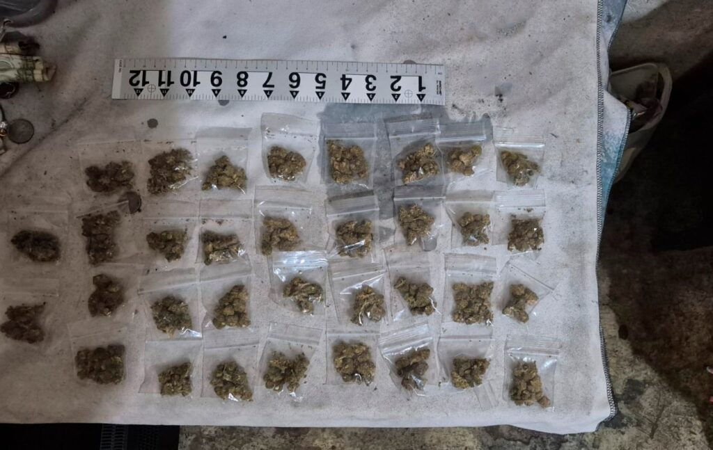 Asegura Grupo Interinstitucional drogas y detiene a 3 personas por narcomenudeo en dos cateos en Benito Juárez 1 3A2FADF8 D57F 4788 9280 9AD5F1DFAC25