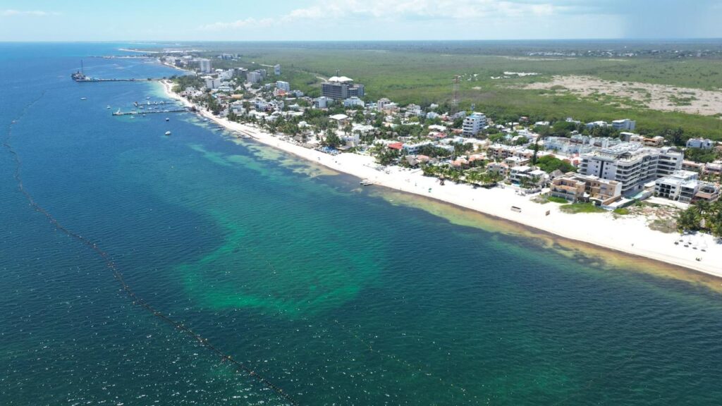 Mantiene Puerto Morelos atención permanente en Playas para combatir el sargazo 2 5073089e ce1e 4379 8ed1 6547aaf8b177