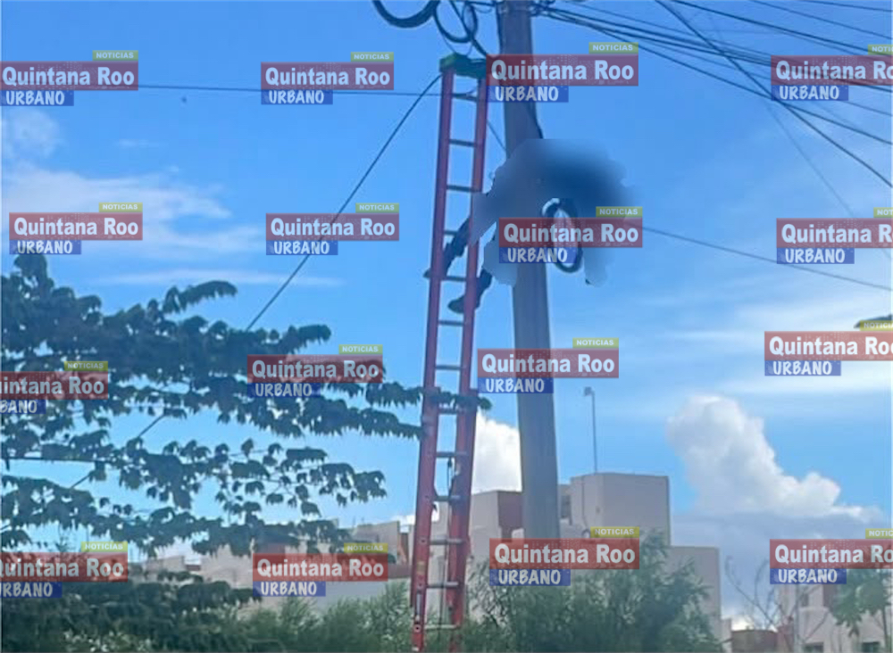 Técnico de internet muere electrocutado y queda colgando de un poste en Playa del Carmen 1 6661490B 20F0 4B21 9656 8A8DB7384195