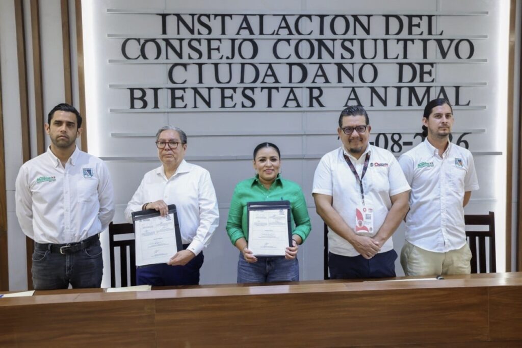 Instala Blanca Merari el Consejo Consultivo ciudadano para la atención y bienestar animal de Puerto Morelos 2026 2 D635D1DB 34CC 4836 9E50 FE95EAD621AF