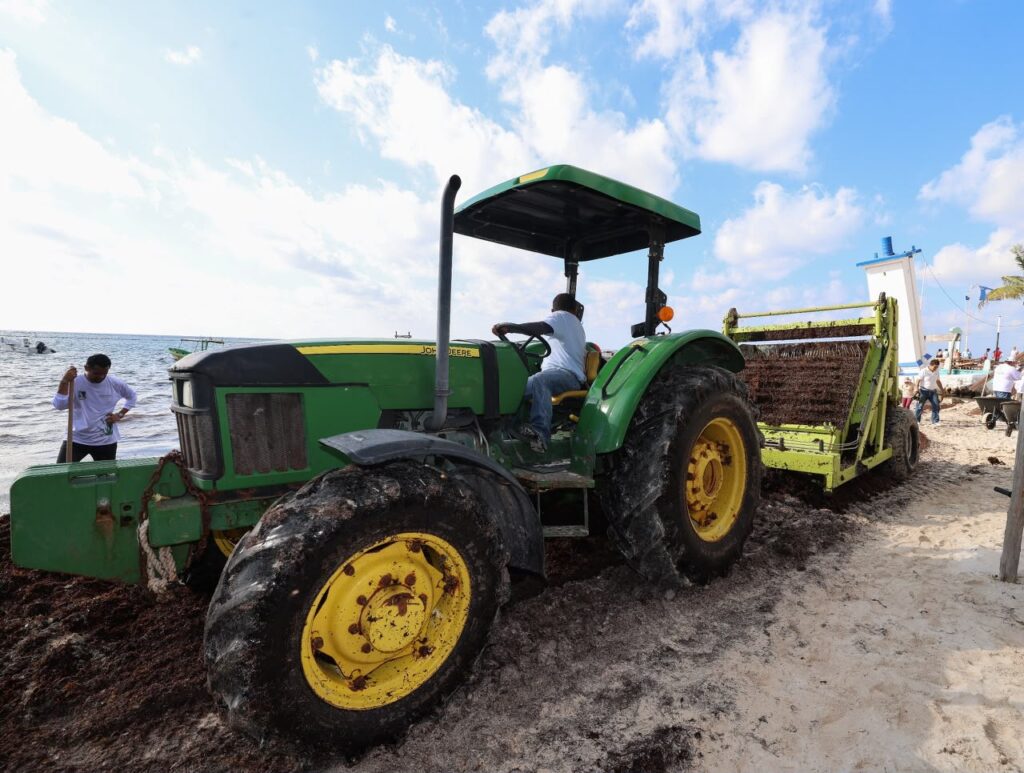 Con Agenda Verde, Puerto Morelos protege su patrimonio natural y avanza hacia un desarrollo sostenible: Blanca Merari 4 babab3e4 bbcb 430d 8728 58c551066761