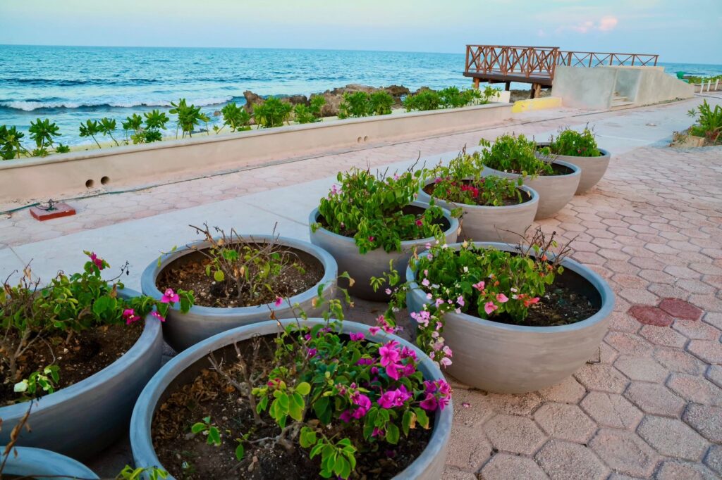 Avanzan Paseo de las Sirenas y nueva Casa de la Cultura, dos obras que transforman Isla Mujeres 1 bbb508da 9799 4b57 876a faf172248626