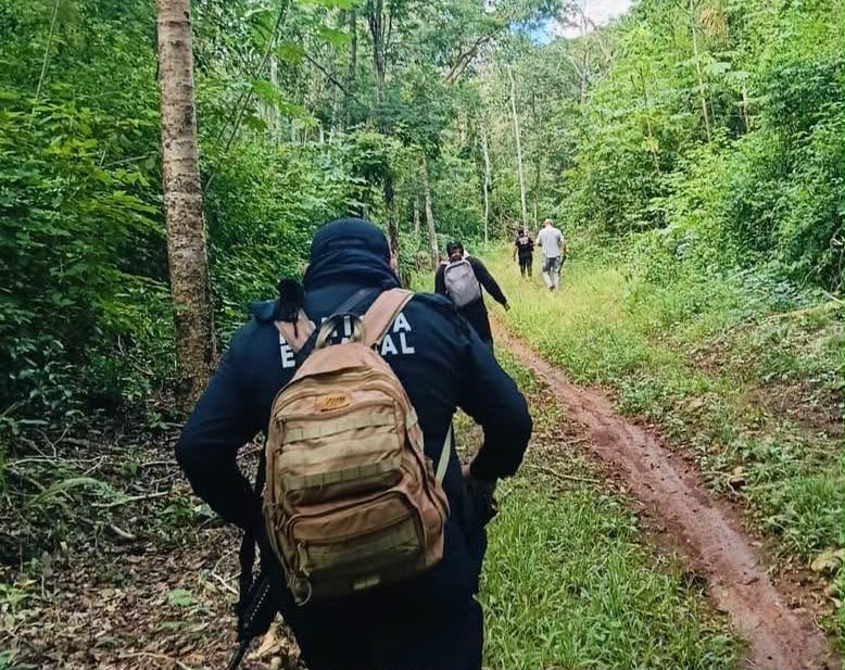 En la Zona Maya despliegan operativo para la búsqueda de personas desaparecidas en la alcaldía de Chunhuhub 1 59B6E92D 00D4 4B6D 93BE 4E8E788E8B32