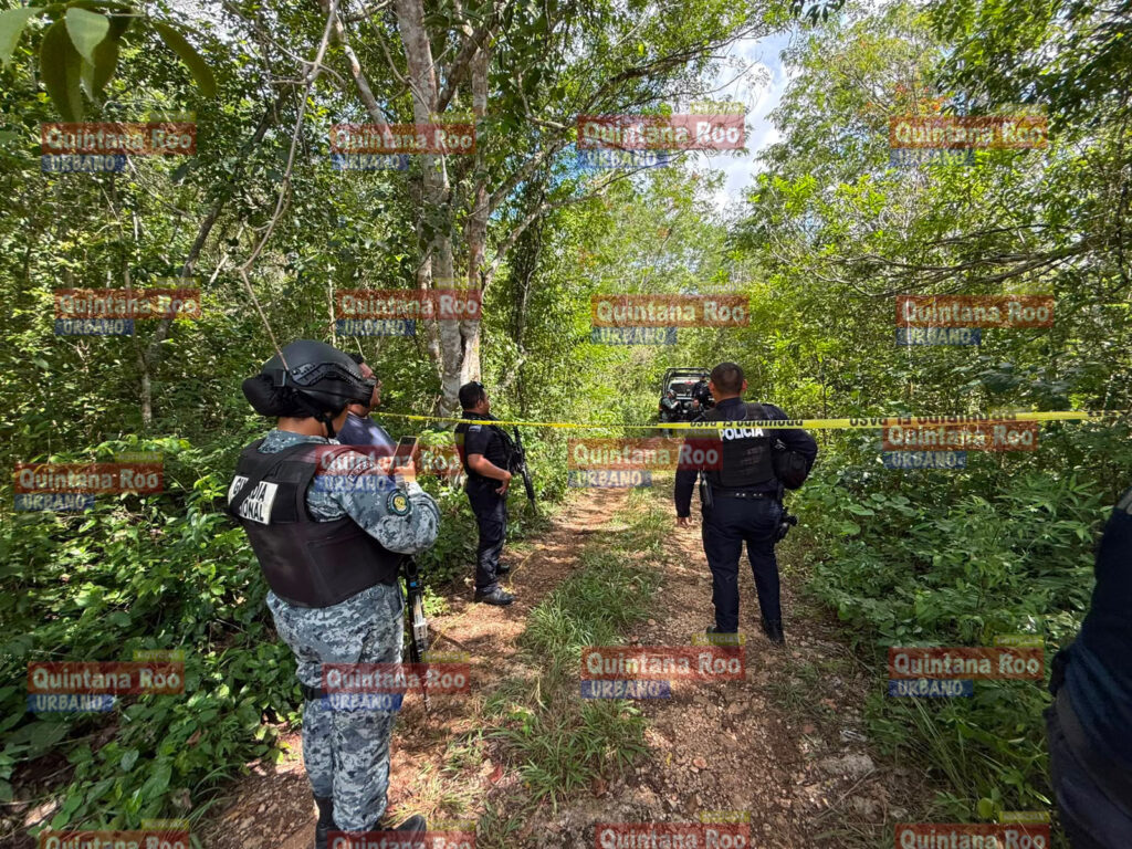 Identifican por ADN el cuerpo hallado en la colonia Constituyentes en Felipe Carrillo Puerto; contaba con ficha de búsqueda 2 CEA4B721 AF24 438E 9914 7AF74B444E31